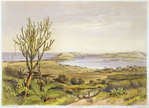 Durban, Port Natal, plate 28 from 